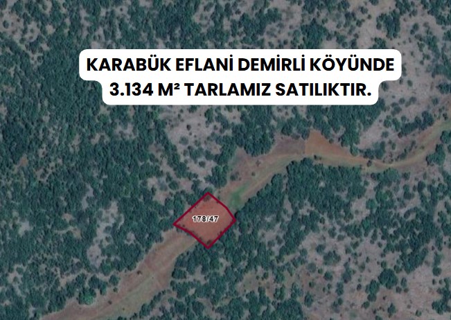 KARABÜK EFLANİ DEMİRLİ   KÖYÜNDE  3.134  M² TARLA SATILIKTIR - KARABÜK EFLANİ fotoğraf 7